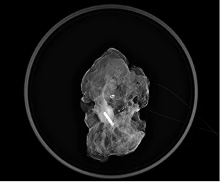 image_7